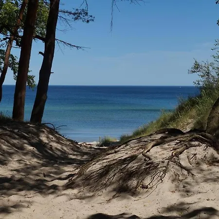 Green Dream Polanki z sauną i pomieszczeniem na rowery Kołobrzeg Zewnętrze zdjęcie